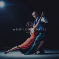 Ambulo - Wildflower Waltz