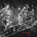 Salo - Masterpiece