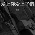 呆呆 - 爱上你爱上了错 (呆呆 remix)