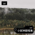 小弑神 - 爱上你爱上了错 (小弑神 remix)