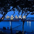 飞羽 - 你像窝在被子里的舒服
