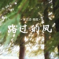 张艺迈 - 路过的风