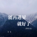 羊羊 - 能再遇见就好了