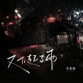 苏星婕 - 又下起了雨
