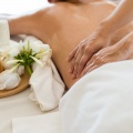 Spa Music Playlist、Natural Element、Himalaya Nature - Soothing Vibes for Balance