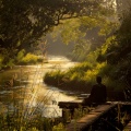 Relaxing Space Music、Classical Mirror、The Spa Music Legends - Peaceful Mellow Comforting Sounds
