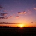 Pike - Fading light