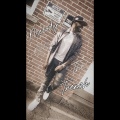 Southside Scripture - Suburban Freestyle
