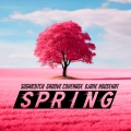 Sugar3itch、Groove Coverage、DJane Housekat - SPRING