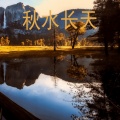 杨燕婷 - 花又落