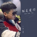 李浩然 - 就是爱你