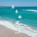 陆三三 - 后来的风