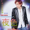 梁剑东 - 夜色2016 (DJ candy MIX)(Remix)