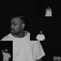 Revenge (Explicit)