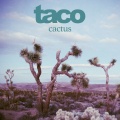 taco - cactus