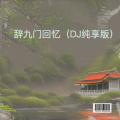 DJ宝儿 - 辞九门回忆
