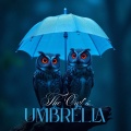 The Owl’s Umbrella