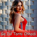 Ge Dil Torni Chhoudi