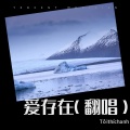 Tôi thích anh - 大鱼