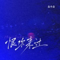 袁小袁 - 恨你来过