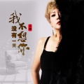 王娜 - 我没有一天不想你
