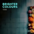 Brighter Colours - We'll Tear Each Other Apart