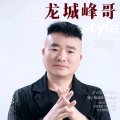 龙城锋哥 - 你做了我梦里的人