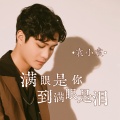 袁小袁 - 满眼是你到满眼是泪