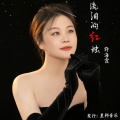 流泪的红烛