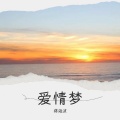 蒋海波 - 爱情梦