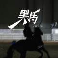 周文凯 - 黑马