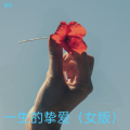 馨怡 - 一生的挚爱