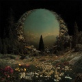 Meadow