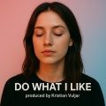 Kristian Vuljar - Do What I Like