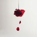 Eliezer - Please Don't Go