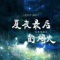 赵欣宇 - 夏夜最后的烟火