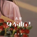 曾诗涵 - 太多身不由己