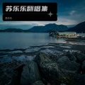 苏乐乐 - 谁明浪子心 (Remix)