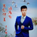 王玉栋 - 思念陪着鸿雁飞
