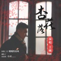 王桢 - 杏花落