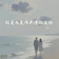丁乙 - 你是我爱而不得的遗憾