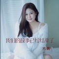 大美 - 我们的故事已经结束了