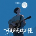 烟嗓船长 - 可是月亮你不懂