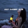 苏子墨 - 去远方