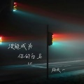 杨天一 - 没能成为你的白马