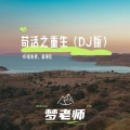 梦老师 - 苟活之重生