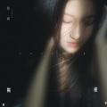 张鑫 - 模糊