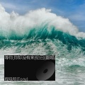 等你,你却没有来(伦巴)(翻唱)