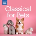 Classical for Pets