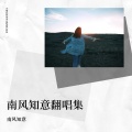 ZZ南风知意 - 一千个伤心的理由